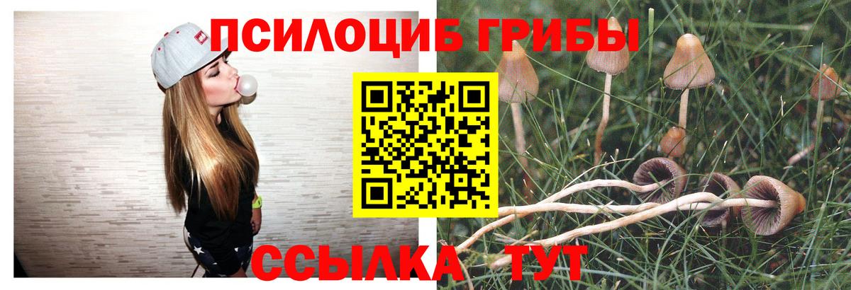 Галлюциногенные грибы Psilocybine cubensis  Вход с VPN  Губкин 